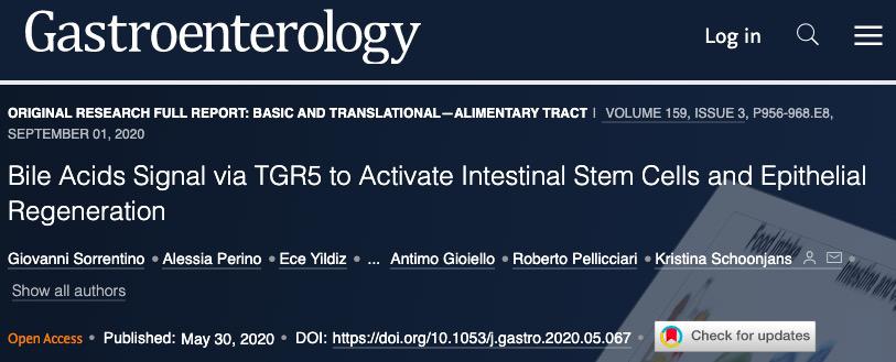 胆汁酸在肠道中的生理意义,胆汁酸能促进肠道再生吗