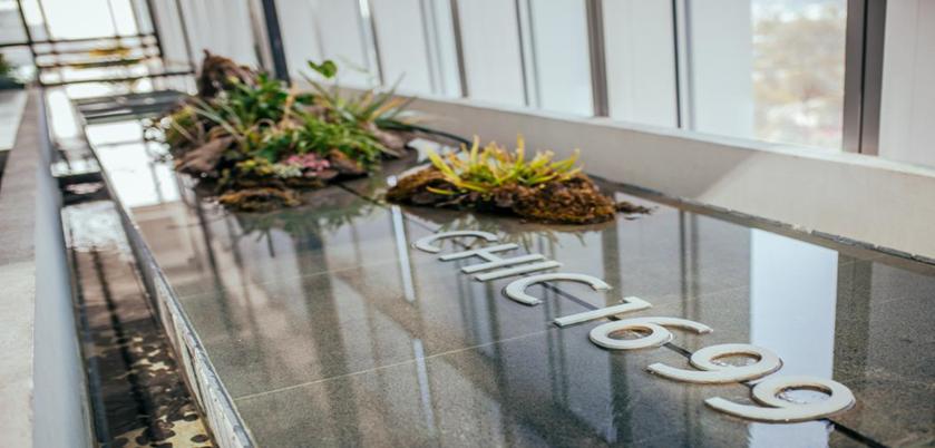 准备好抢票了吗,澳门机票买一送一活动到什么时间