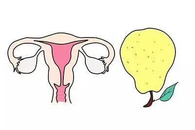 让你更有女人味,能让你变得更加有女人味的东西