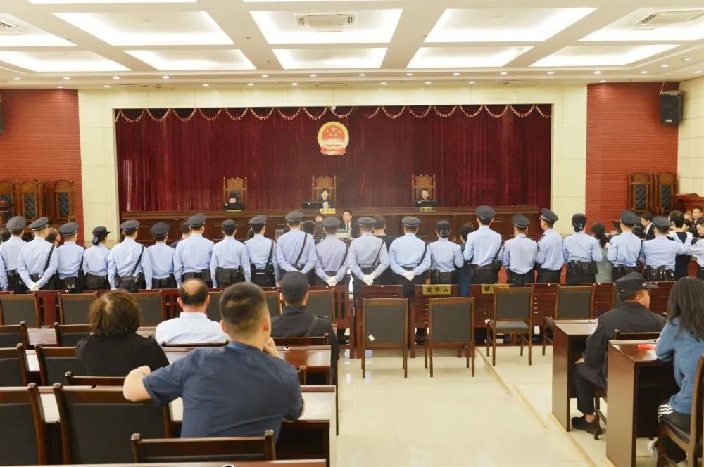 【办案侧记】150余本卷宗,百万字千页审结报告,3·16特大组织领导传销活动案背后的检察心血