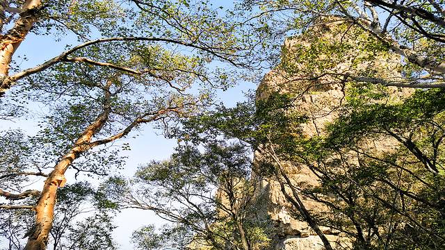 涞水野三坡旅游攻略,涞水白草畔自然风景区野三坡
