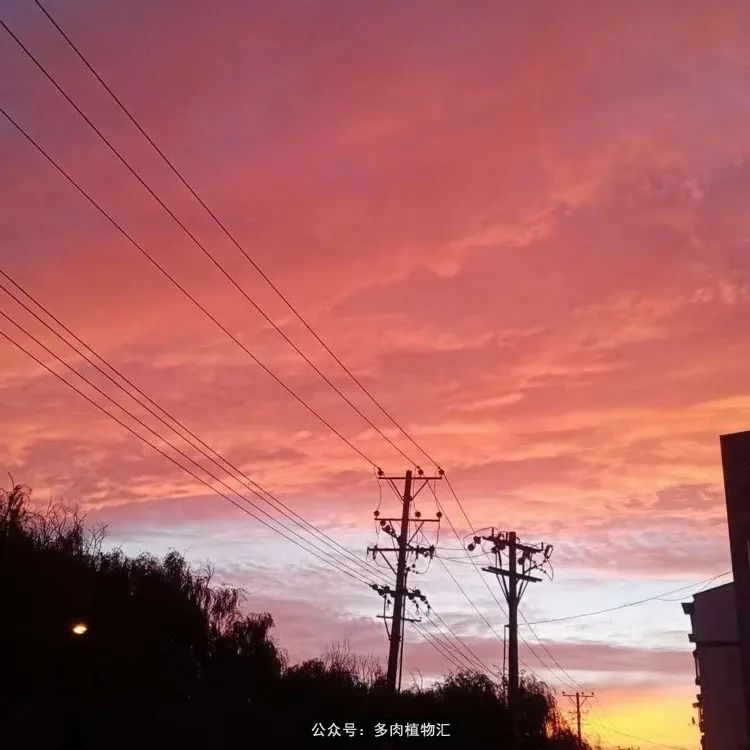 浠庝簯鍗楄繃鏉ュ箍涓滅殑澶氳倝,閬囪澶氳倝鎰熸仼鐢熷懡涓墍鏈夌殑鐩歌瘑