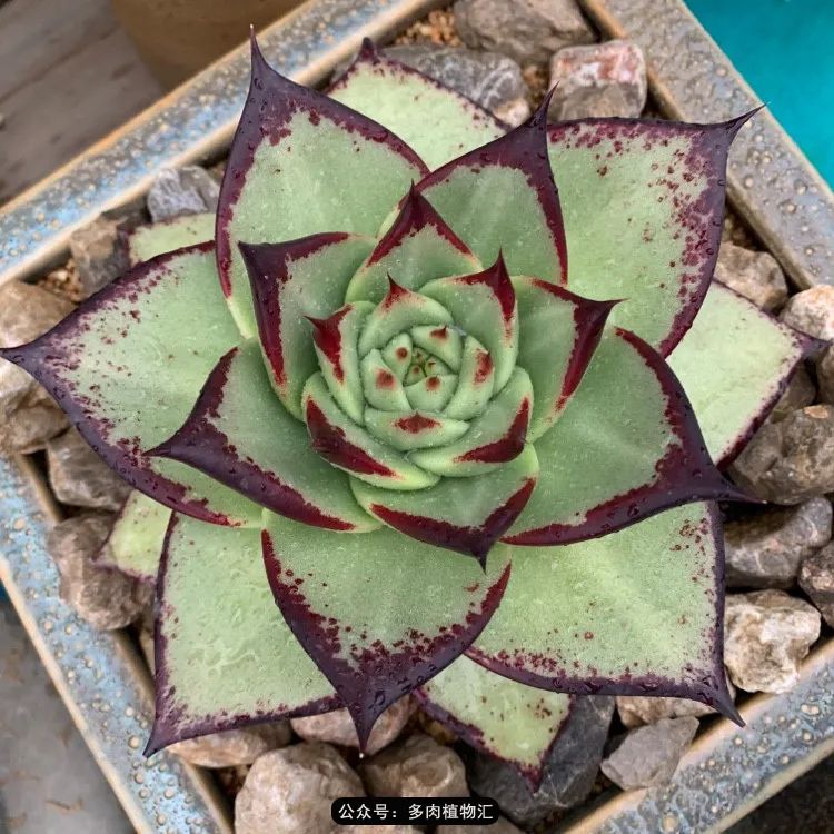 浠庝簯鍗楄繃鏉ュ箍涓滅殑澶氳倝,閬囪澶氳倝鎰熸仼鐢熷懡涓墍鏈夌殑鐩歌瘑