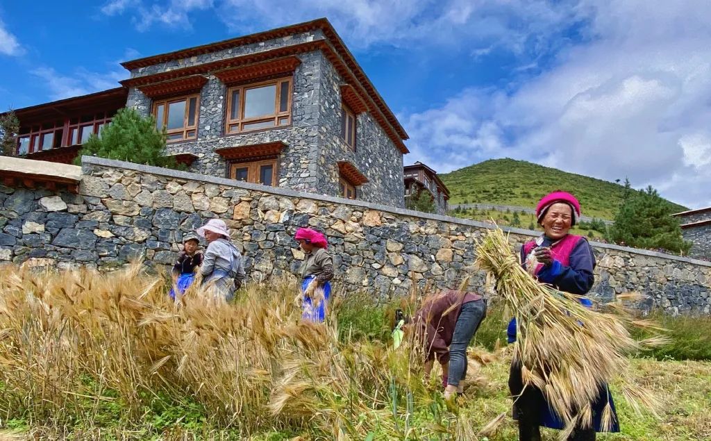 骏马奖获奖视频,骏马奖评奖