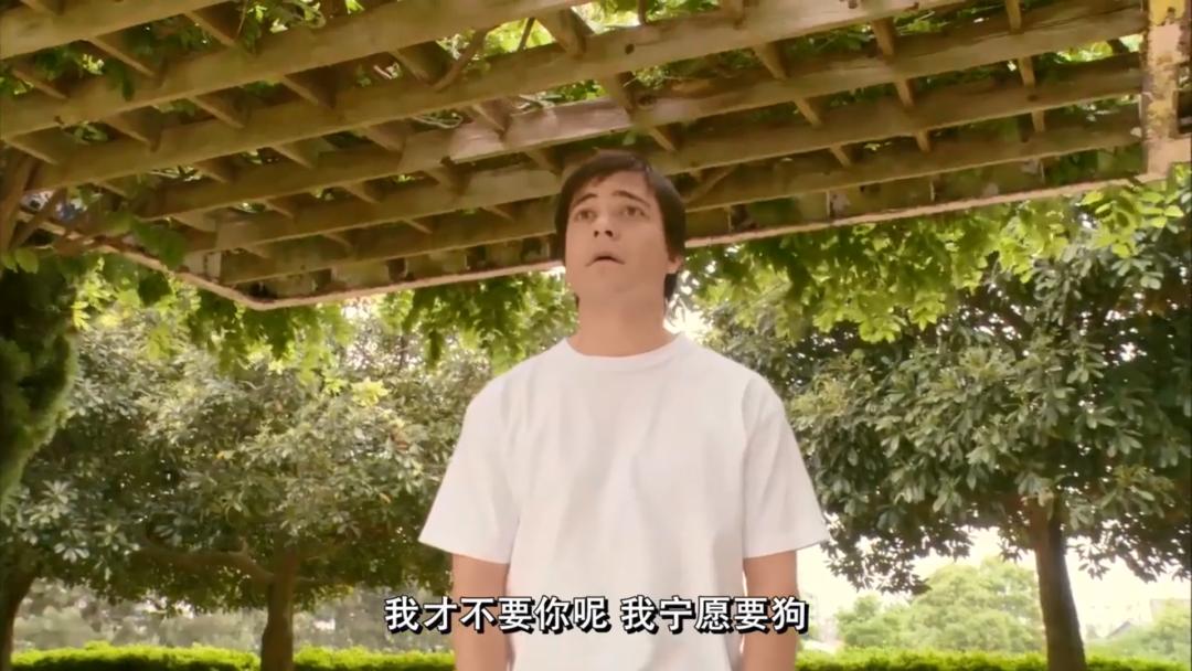 养了十年的狗和出生的婴儿,养了10年的狗和男朋友你选谁