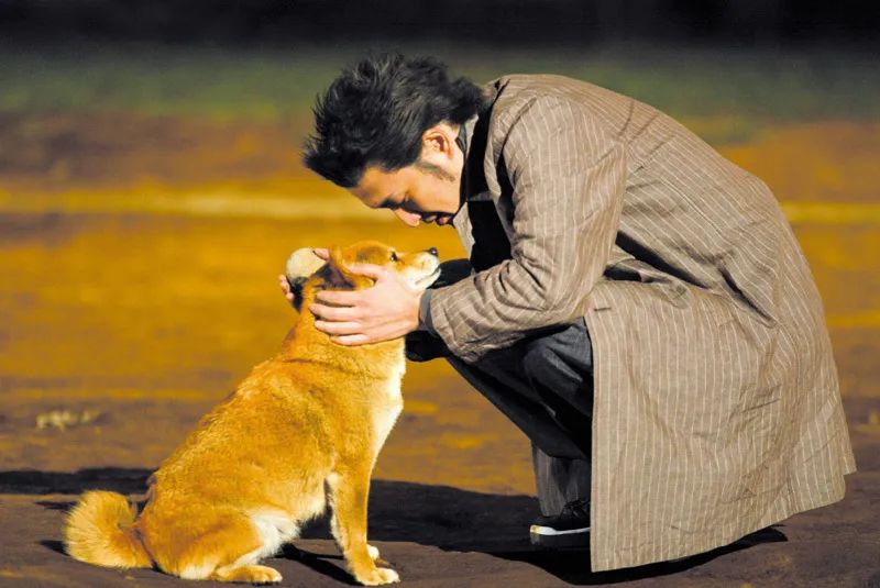 养了十年的狗和出生的婴儿,养了10年的狗和男朋友你选谁