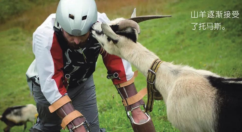 搞笑物理诺贝尔奖,搞笑诺贝尔奖2021