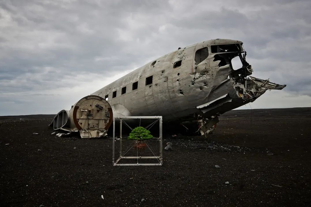 他是日本著名“花花公子”，拈花惹草只为极致的美