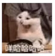 汽油机和柴油机哪个有劲,柴油机机油和汽油机机油的区别