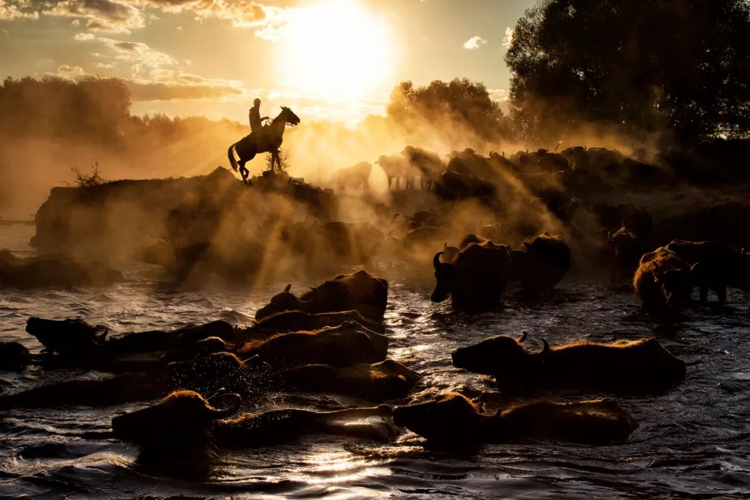 来，我们斗胆聊一下出国怎么玩