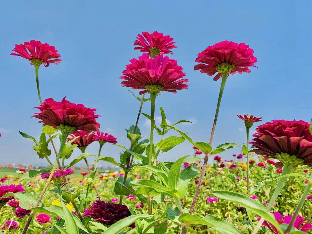 江宁周末能玩一天的地方,国庆假期到哪玩在江宁区内