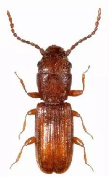 海关出口小知识,海关小知识大全集