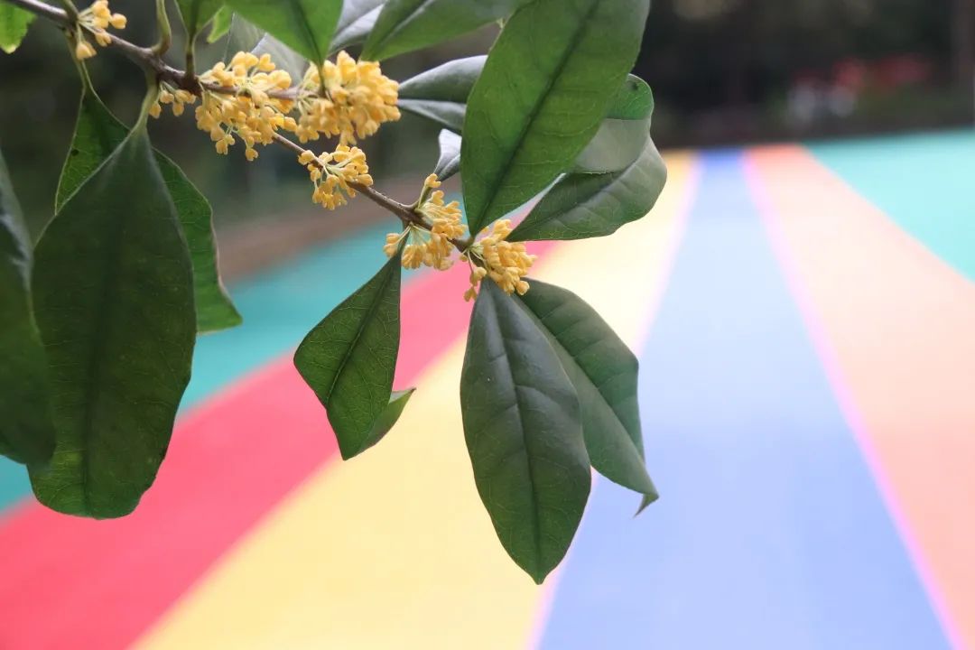 滨江多思创新学校,滨江学校全部排名