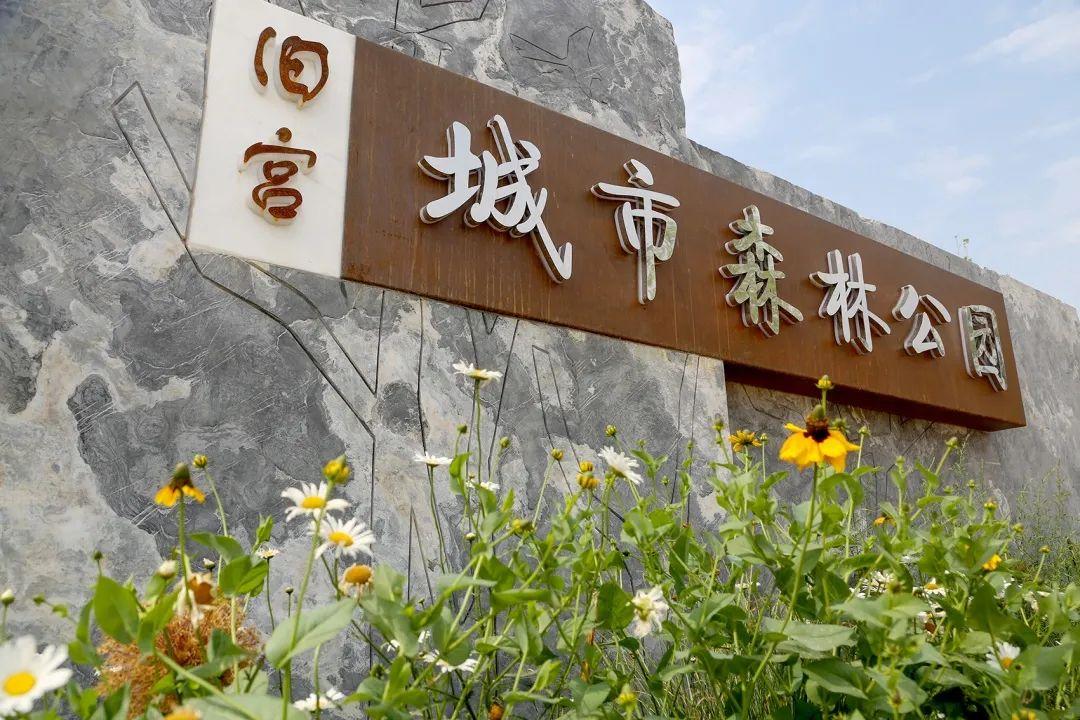 亦庄晚上拍照好去处,北京亦庄旅游景点推荐