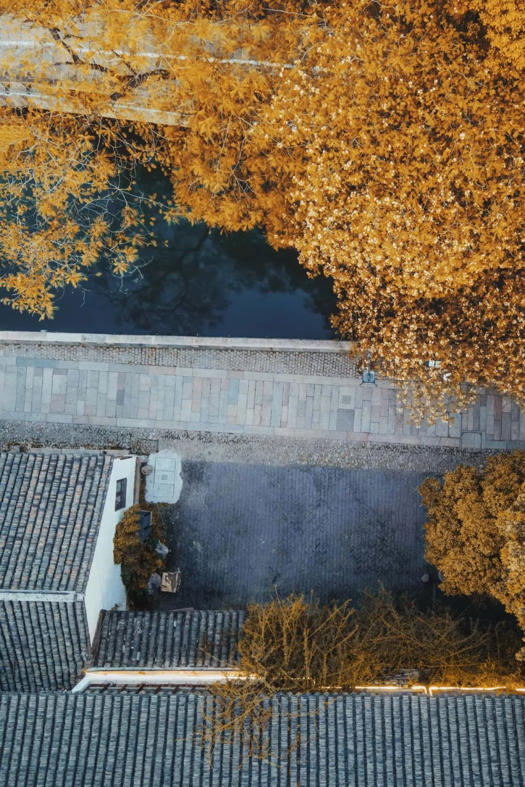 苏州是一座什么样的城市,苏州是一座美丽的城市