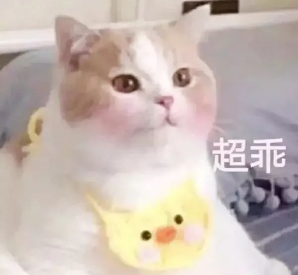 移植3天的胚胎几天能测出来怀孕,胚胎移植后还来月经正常吗