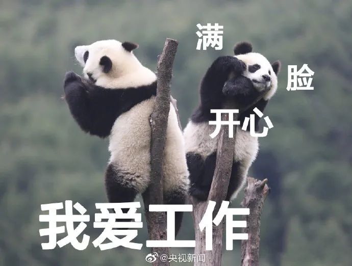 存款超200万家庭,八天突破100万粉丝