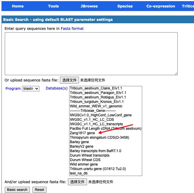 小麦基因组序列查询,小麦基因组
