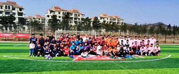 辽宁盖州太阳升,牛气冲天获奖视频