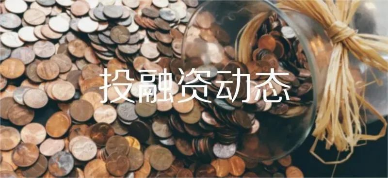 太湖迷笛音乐节2021直播,太湖迷笛2021