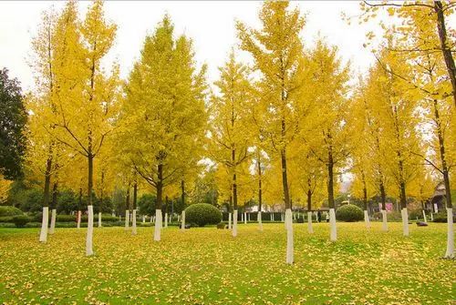 最新太阳雨消息,太阳雨最新消息今天