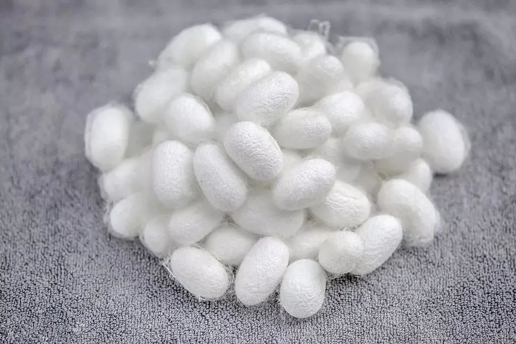 一件顶三件！这件日本背心自发热超保暖，还显瘦