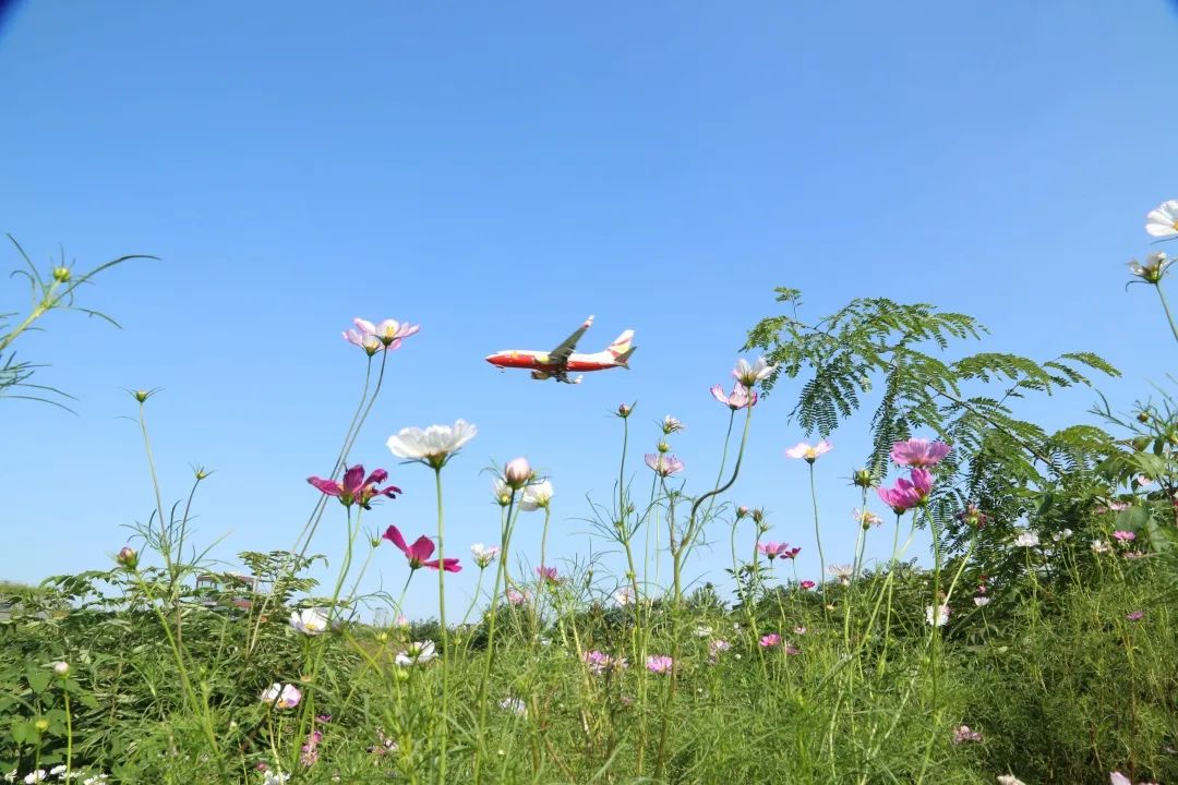 成都双流晚上适合拍照打卡的地方,成都周末打卡推荐双流