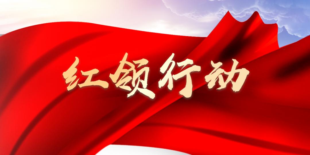 红领行动,龙岩红领行动