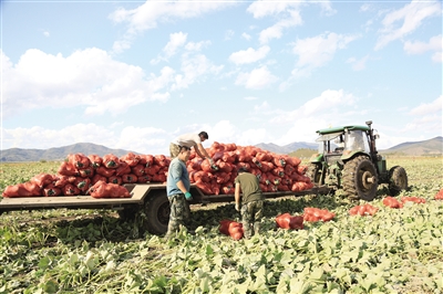 扎兰屯市现代农业 (谱绘农业农村发展新蓝图)