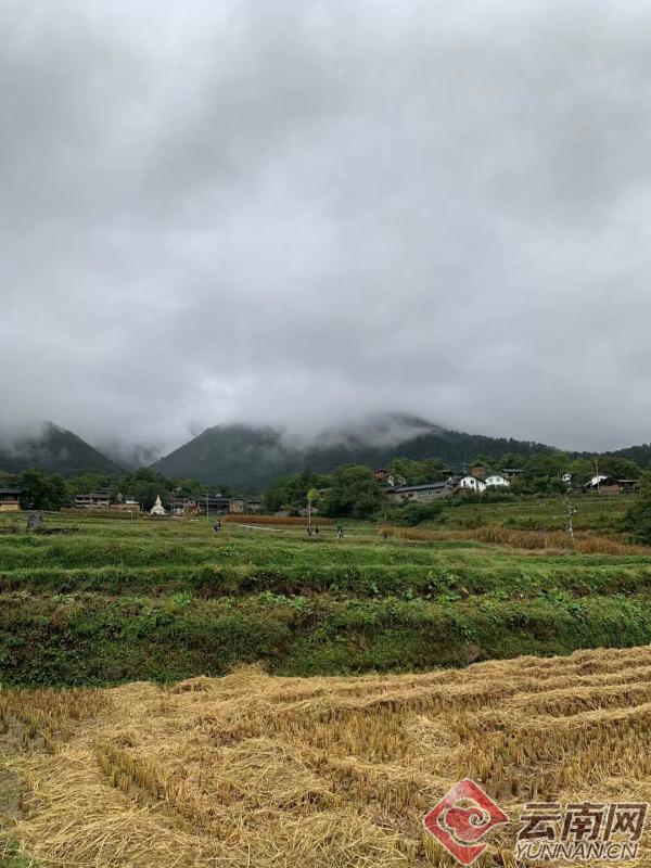 新时代民宿,迪庆梅里民宿推荐