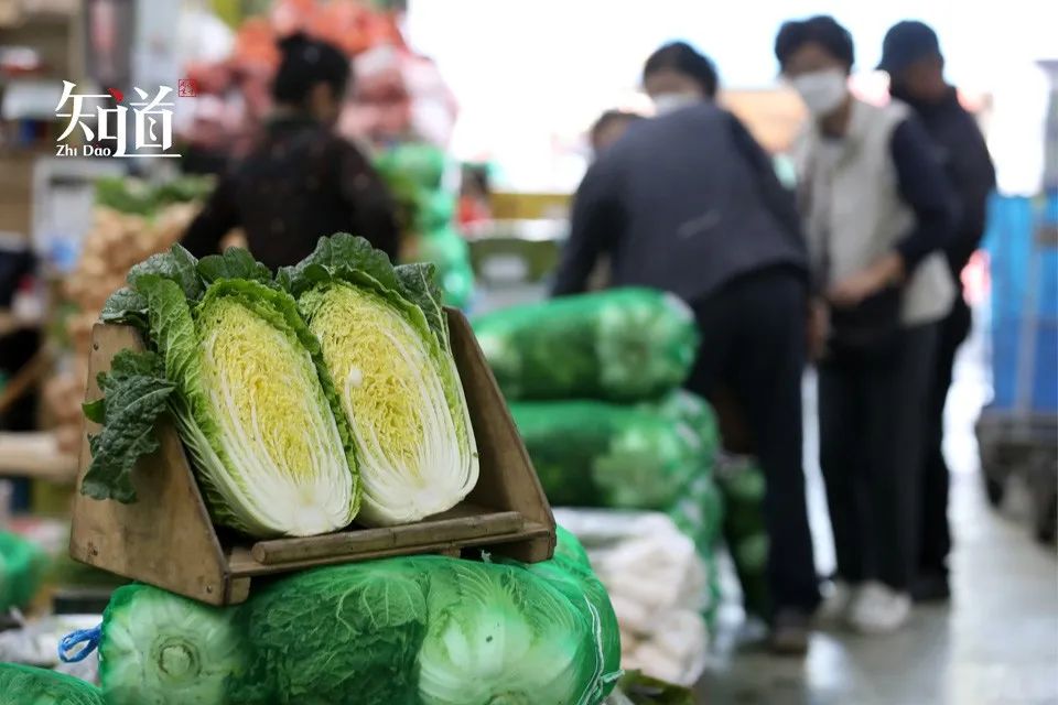 一棵白菜卖天价,一棵白菜卖到100多