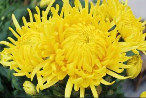 重阳关爱老人暖人心,重阳节陪伴是最好的孝心