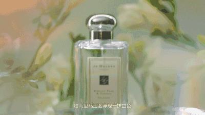 闻过就无法忘记的香水,闻过就忘不掉的香水盘点