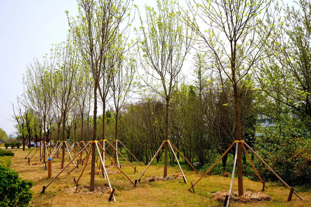 描绘乡村美丽新画卷,描绘中国美丽新画卷