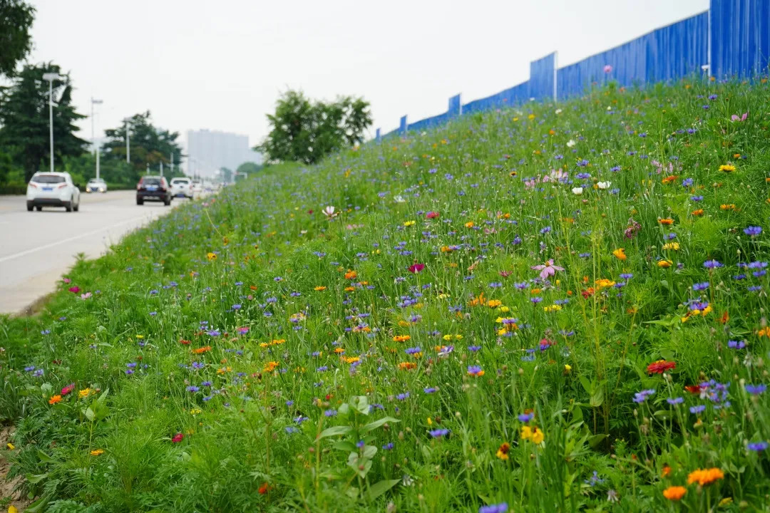描绘乡村美丽新画卷,描绘中国美丽新画卷