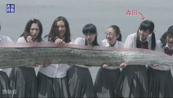 演员刘涛不忘初心磨砺绽放,她因出演西游记走红