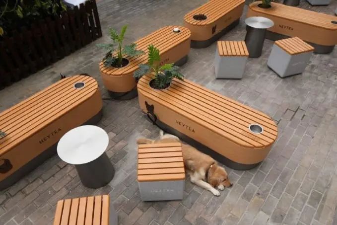 喜茶开放加盟店吗,喜茶开连锁