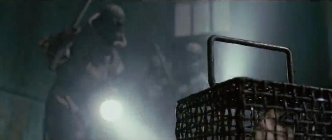 双鸟比翼飞图片,各种罕见奇鸟比翼双飞