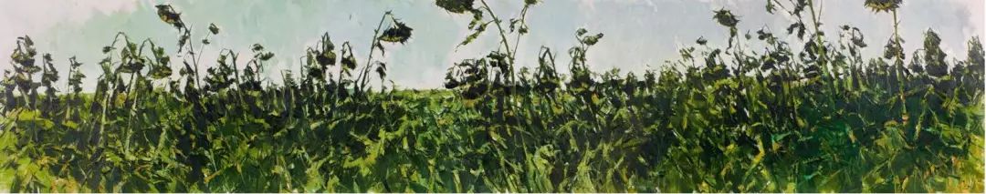 凤凰艺术直播录像,凤凰艺术展览视频