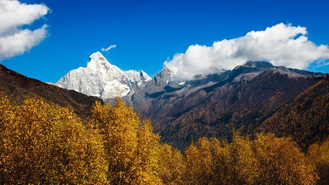 四姑娘山7-9月的风景,错过四姑娘山的秋天