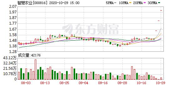 智慧农业000816的最新点评,智慧农业000816会爆发吗