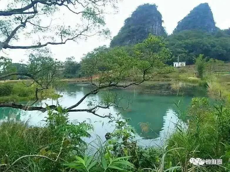 上车旅游打卡,上车打卡下车打卡