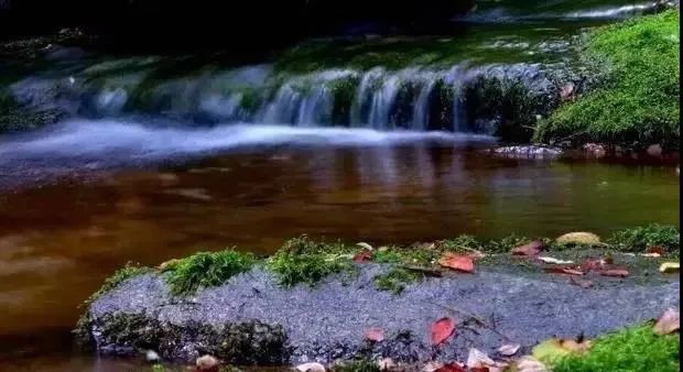 曲江秋天风景,曲江的秋色