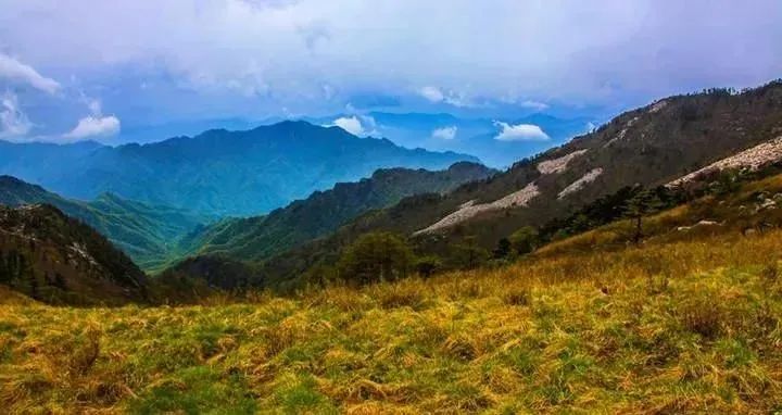 曲江秋天风景,曲江的秋色