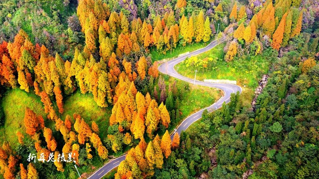 初秋彩林成都周边秘境,成都附近彩林秘境