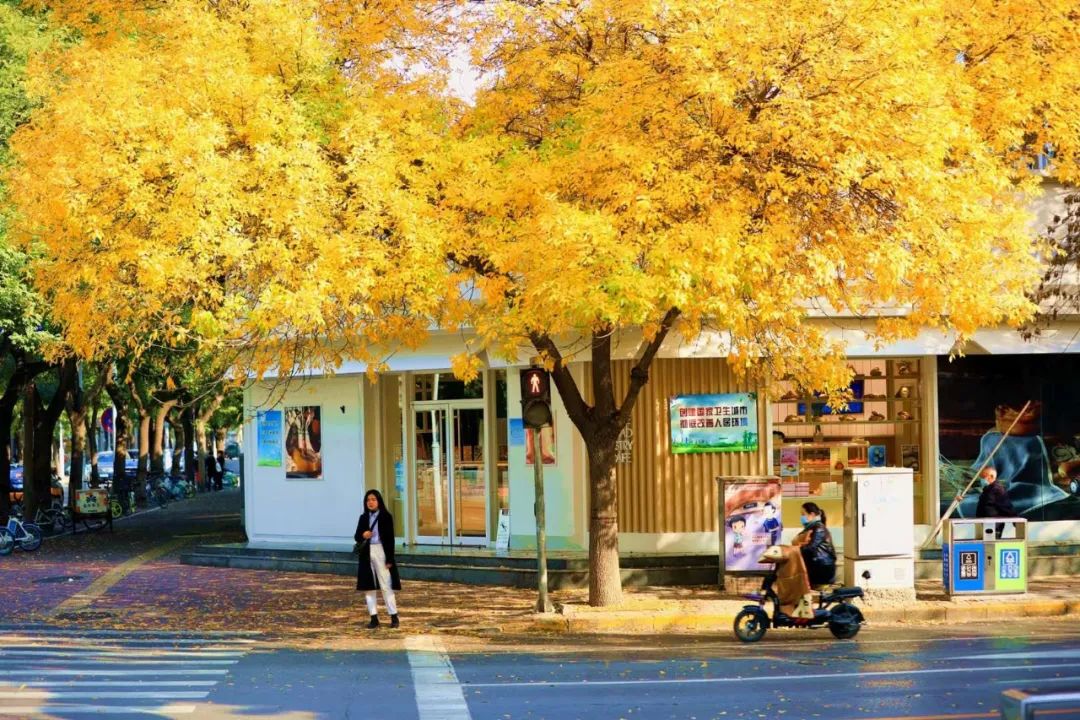 白蜡树下人如潮，勿忘城中多妖娆！你身边还有这些网红打卡地→