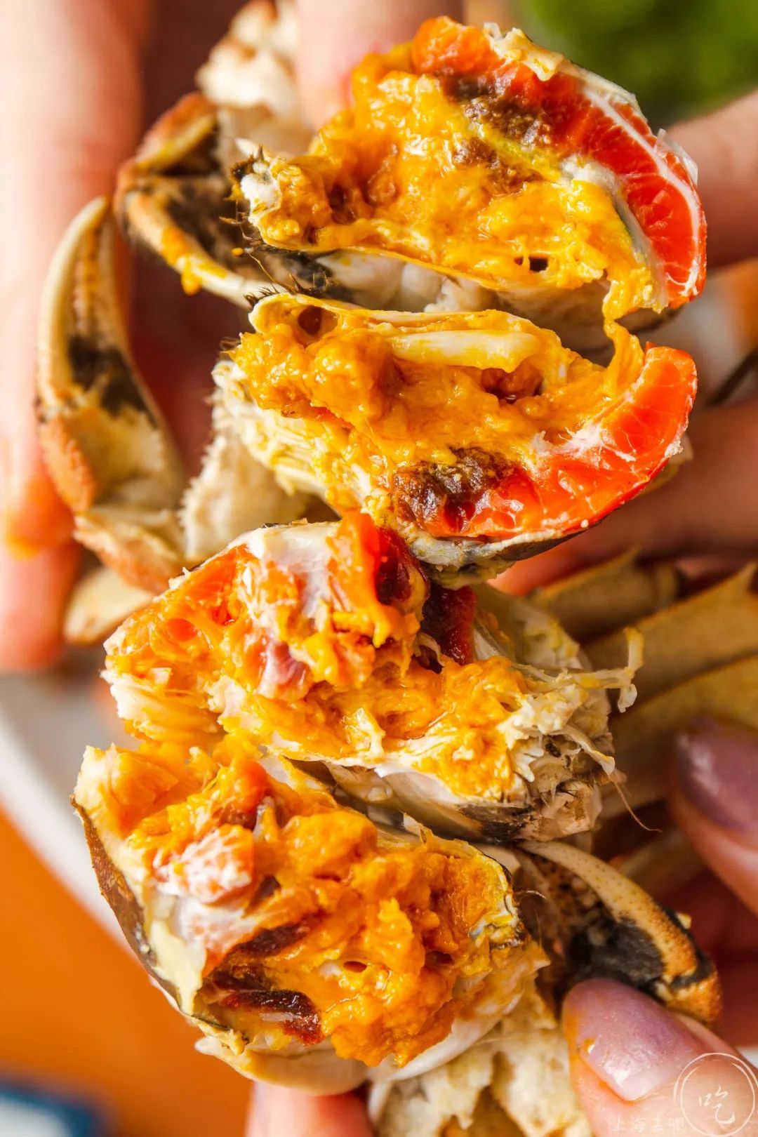 淡水蟹生蚝自助南京,大闸蟹鳗鱼生蚝自助