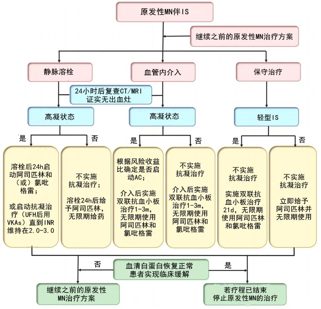 4张流程图，带你掌握膜性肾病患者的抗凝管理