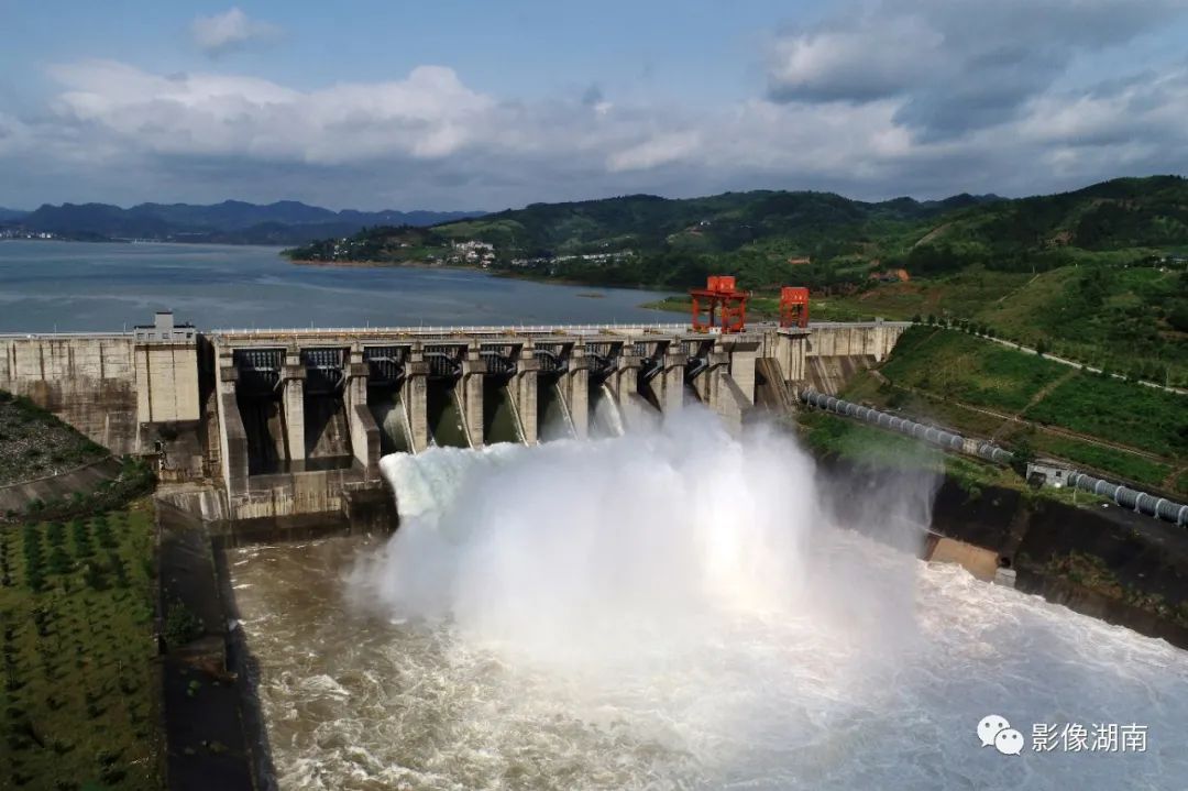 一篇迟到的推文,一篇迟到的作文