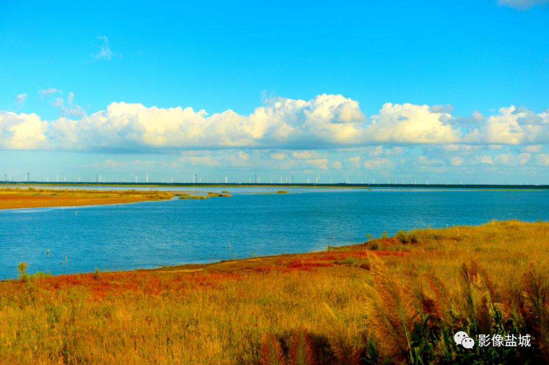 盐城发色,盐城代表颜色